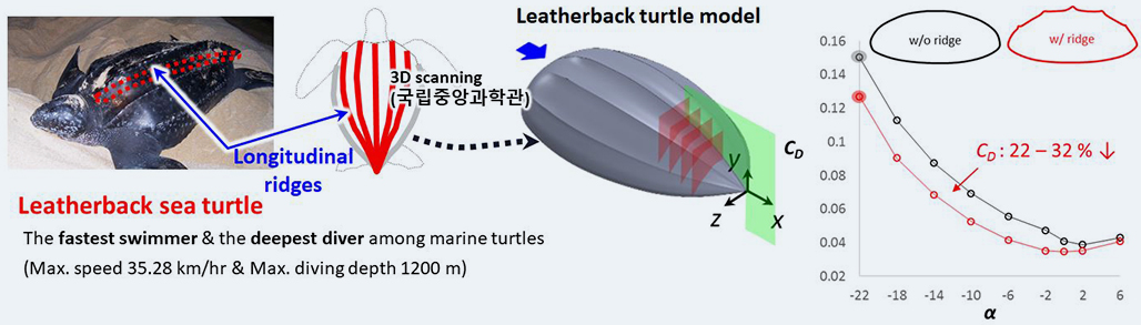 Effects of longitudinal ridges on the hydrodynamic performance