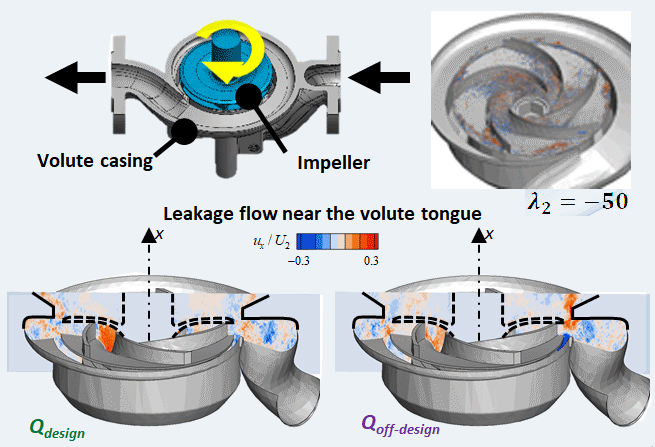 Flow characteristics in a centrifugal pump